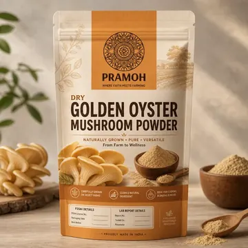 Dry Golden Oyester Mushroom Powder Packaging for PRAMOH #0040 - AI-generated packaging design concept