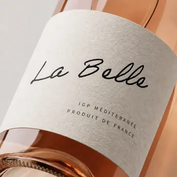 Packaging Label Design #1635 - AI-generated packaging design concept