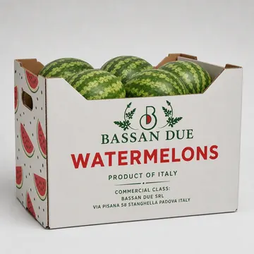 Watermelons Packaging for Bassan Due - AI-generated packaging design concept