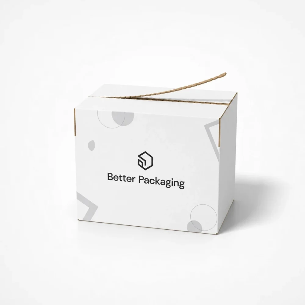 Adhesive mailer