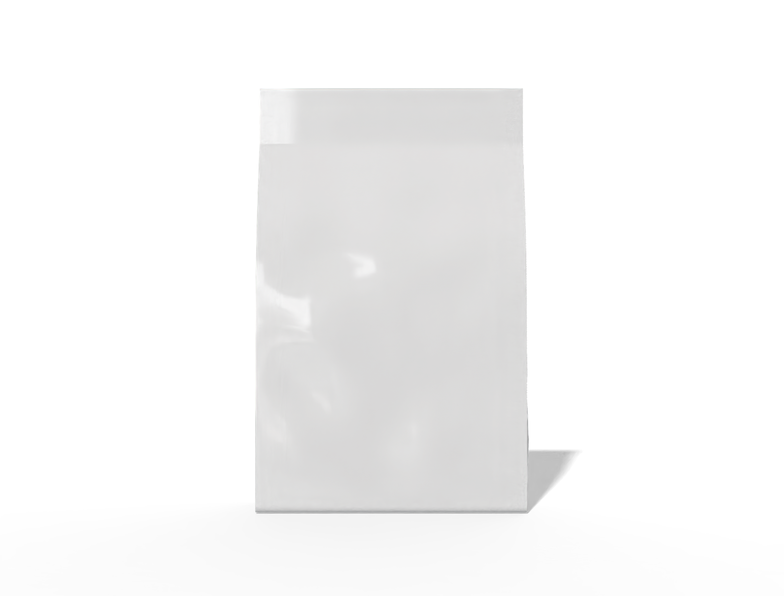 Blank plastic pouch — Glossy plastic