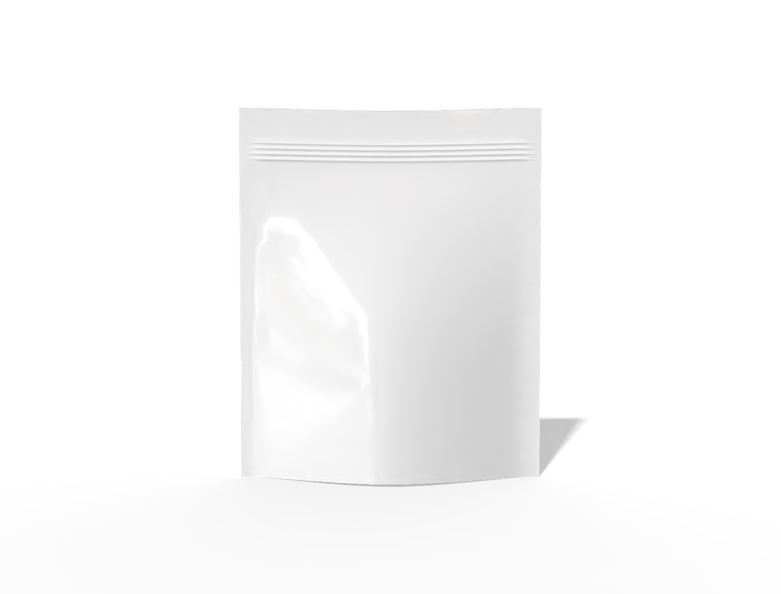 Stand up pouch with zipper — Glossy plastic