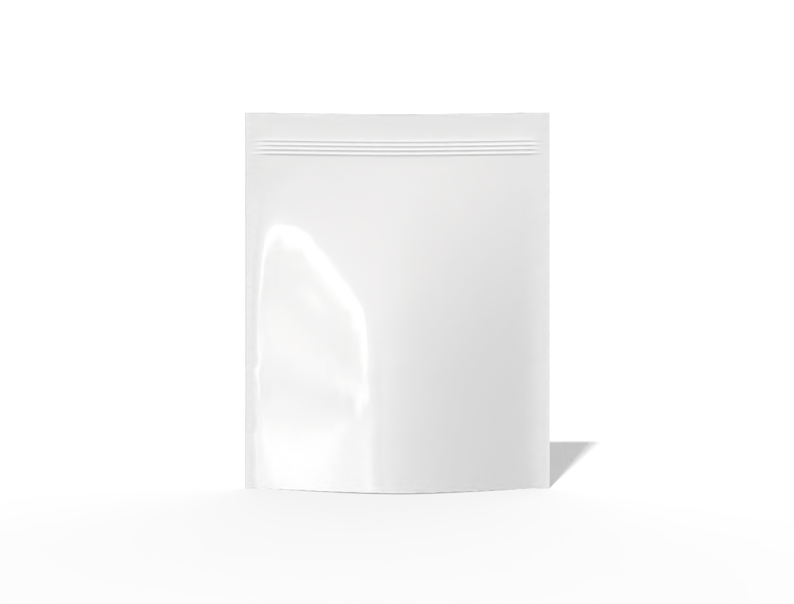 Stand up pouch with zipper — Glossy plastic