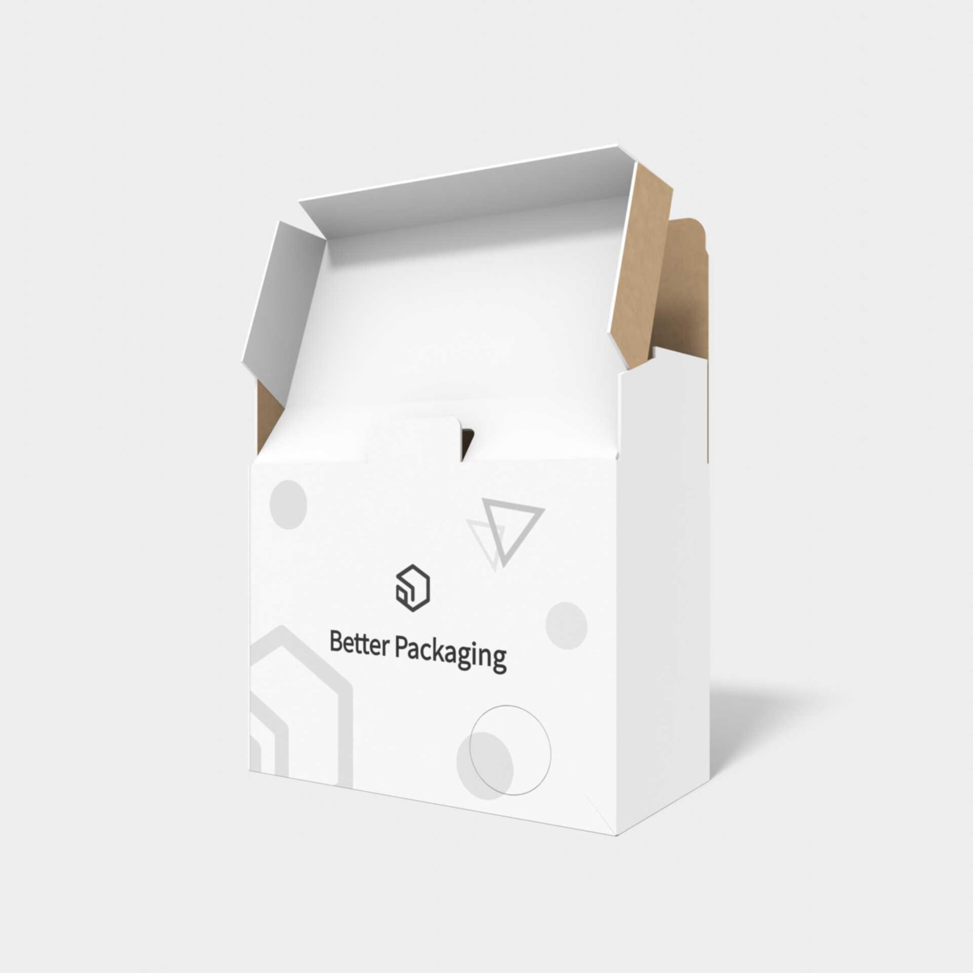 Mailer box with security buckles lock inserts — Corrugated board