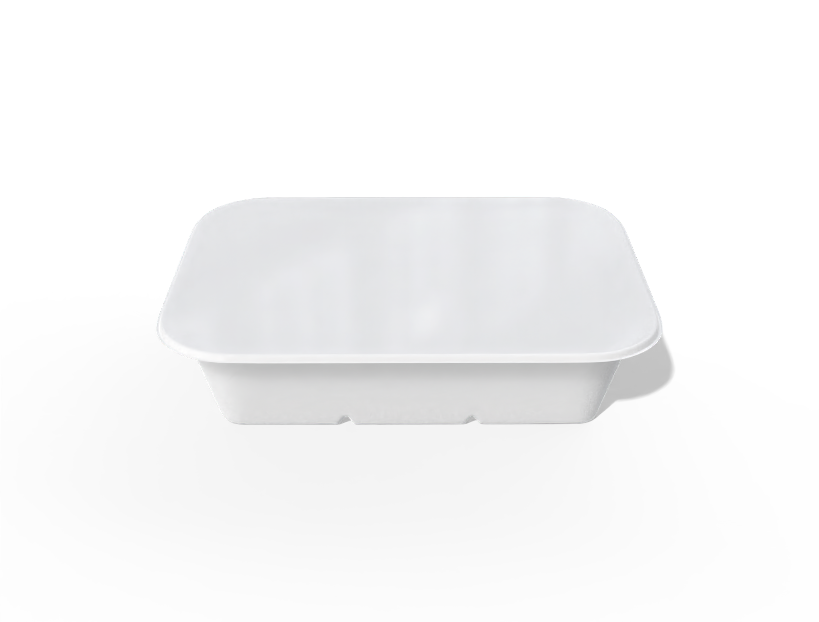 Plastic food container — Glossy plastic