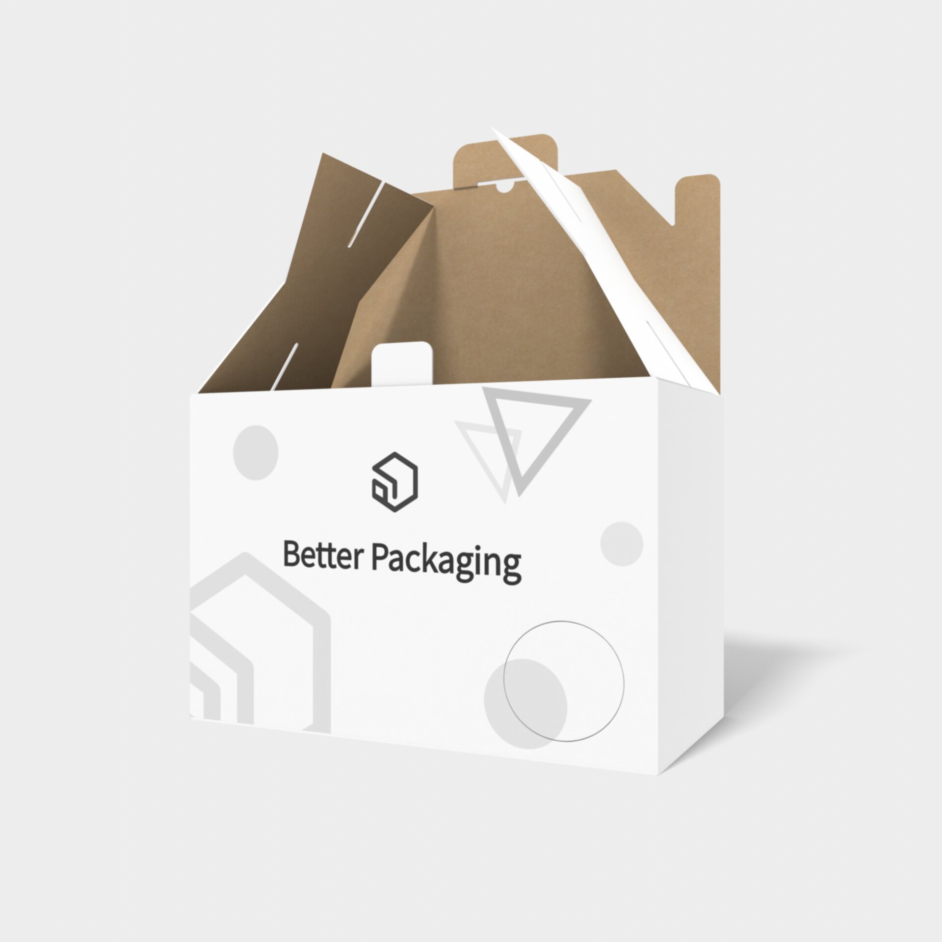 Dust-proof locking mailer box — Corrugated board