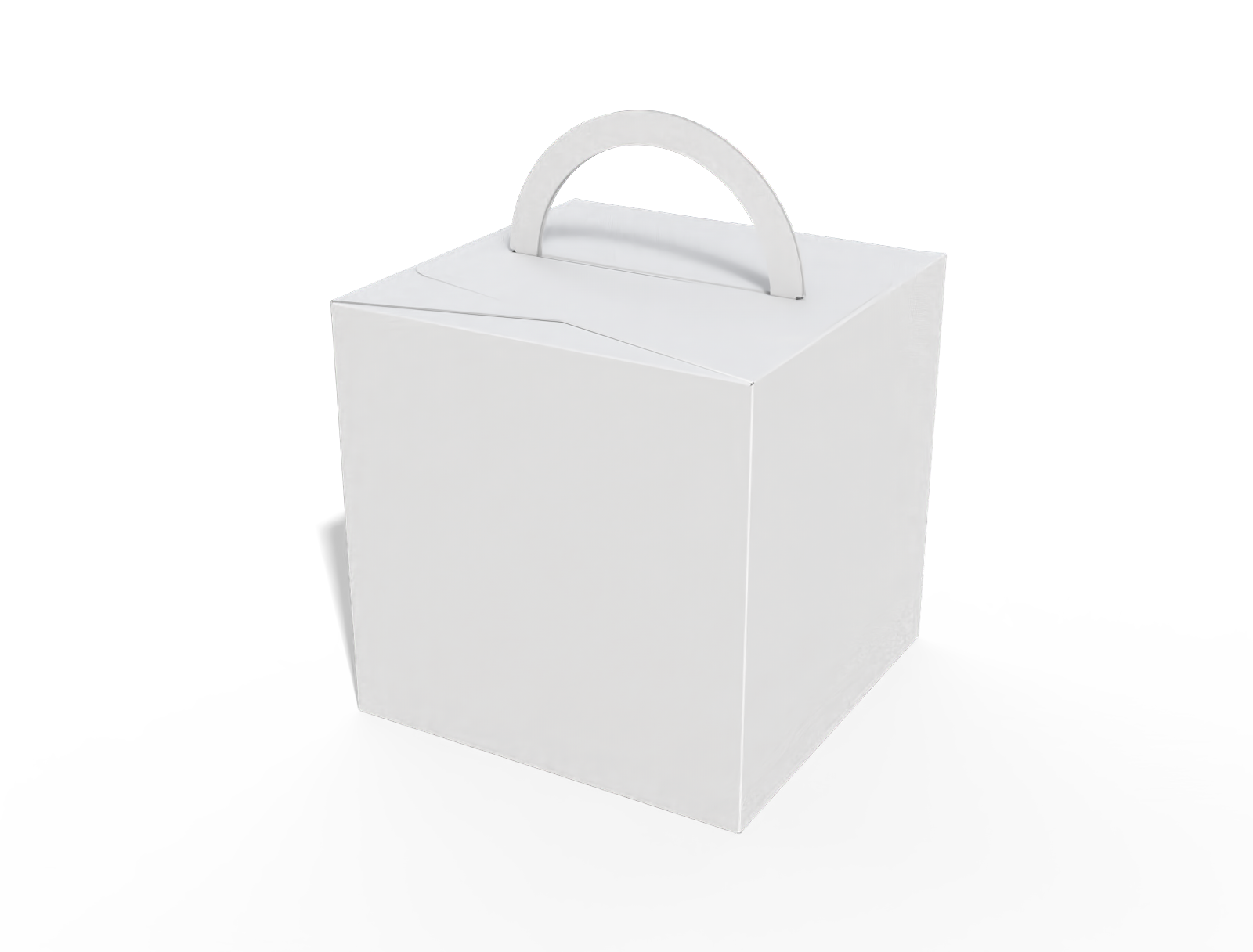 Cake box with handle — White paperboard