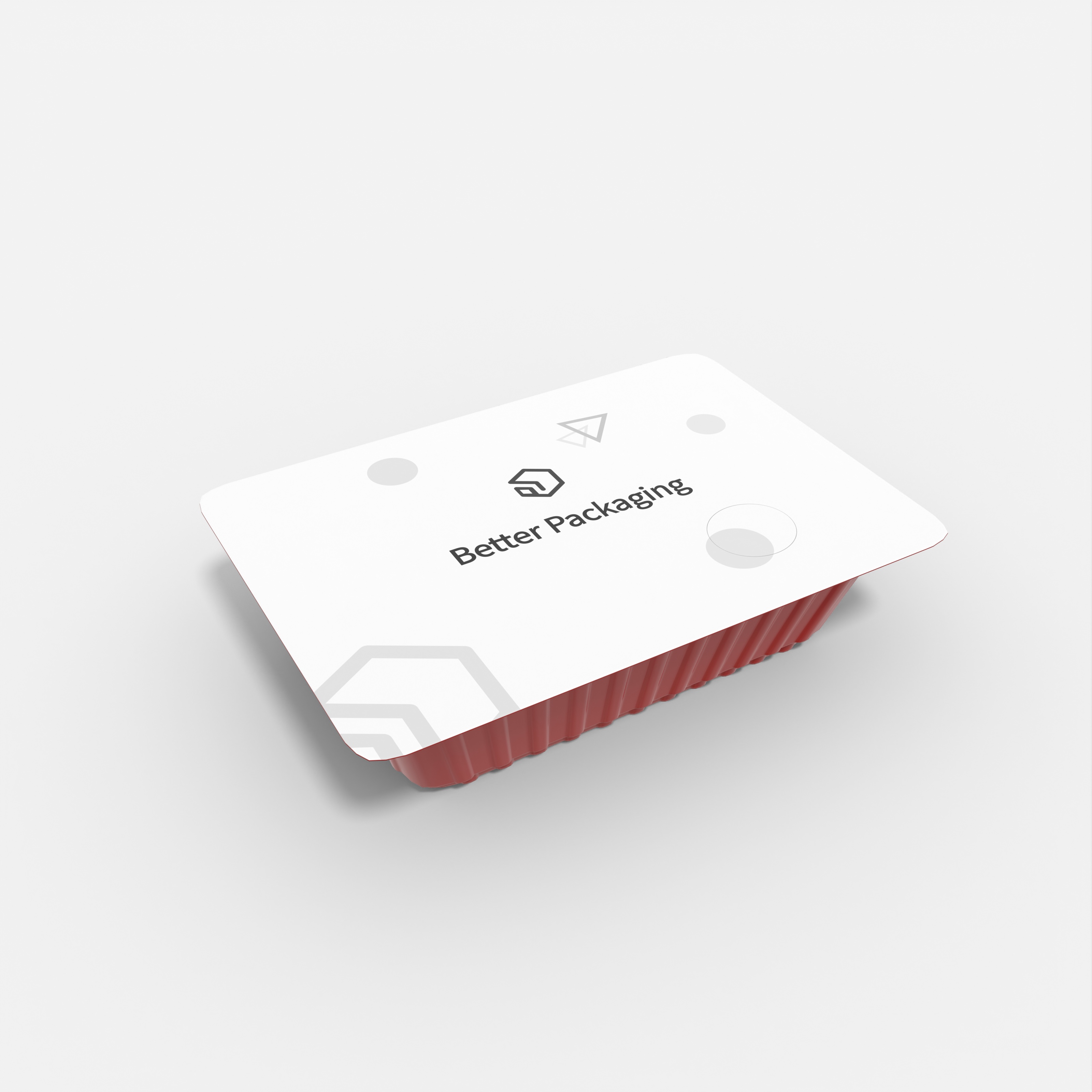 Plastic food container — Glossy plastic