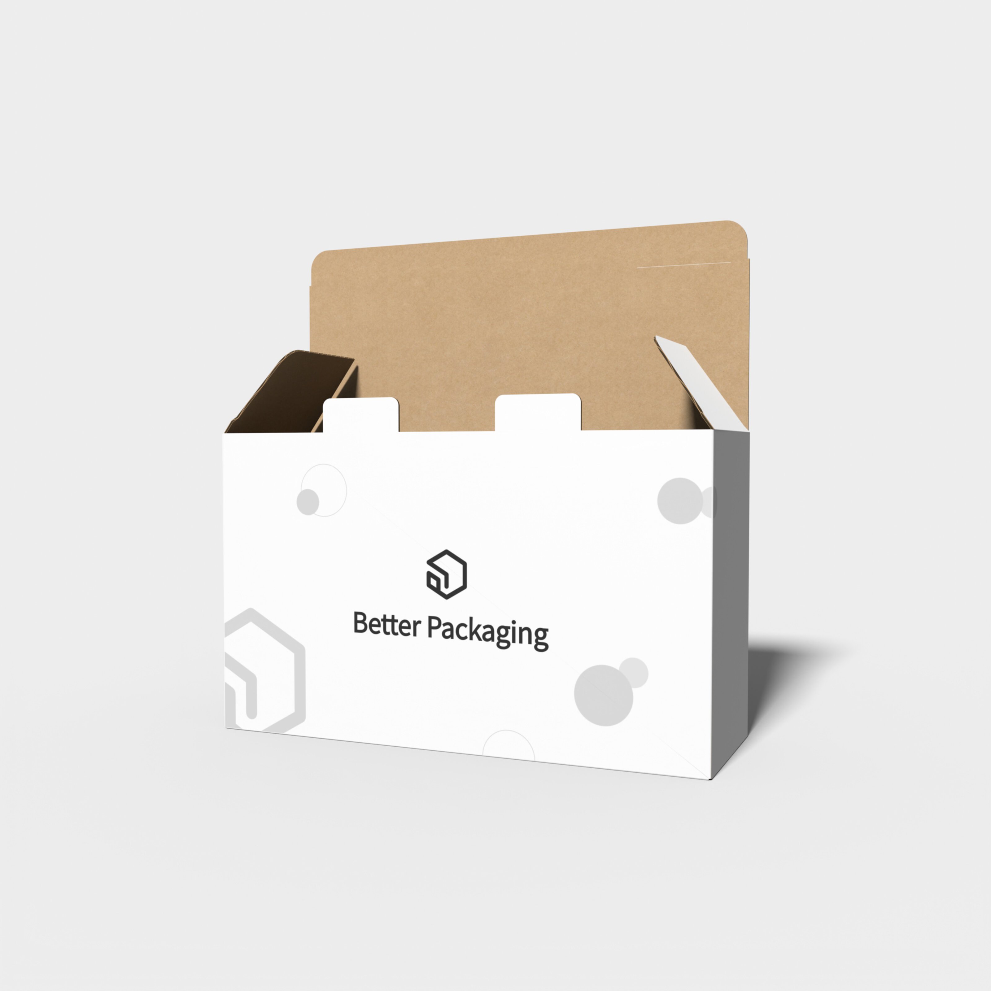 Tuck end mailer box with security buckles — Corrugated board