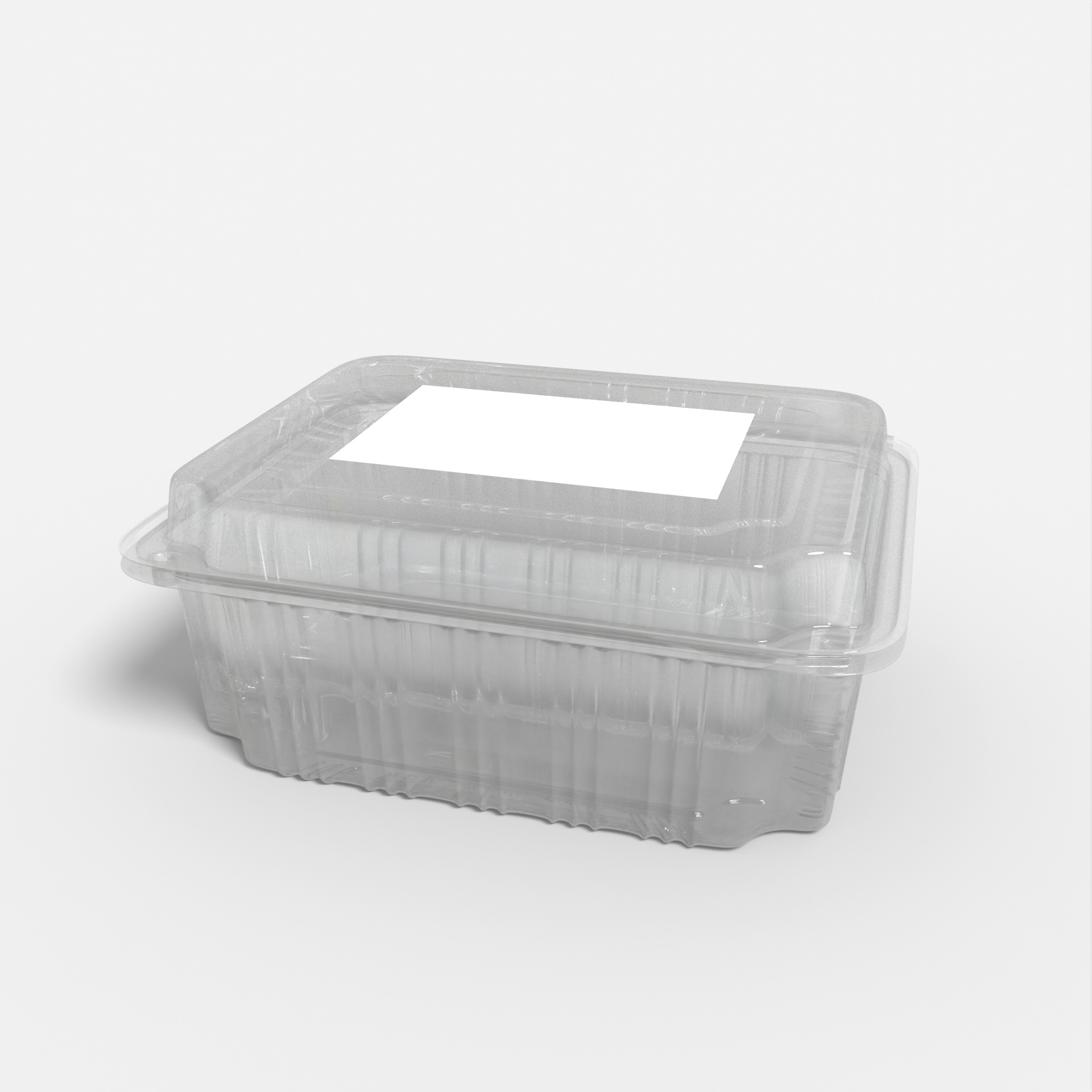 Flexible packaging plastic box disposable — Glossy plastic