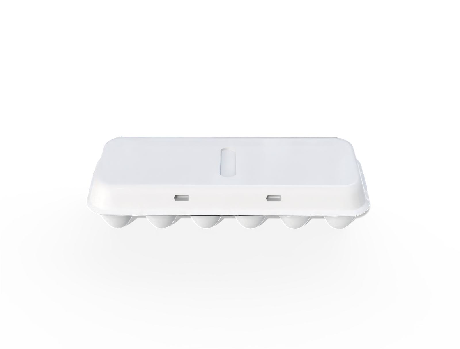 Egg plastic box — Glossy plastic