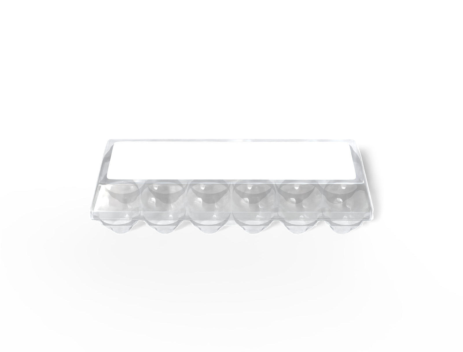Egg plastic box — Clear glossy plastic