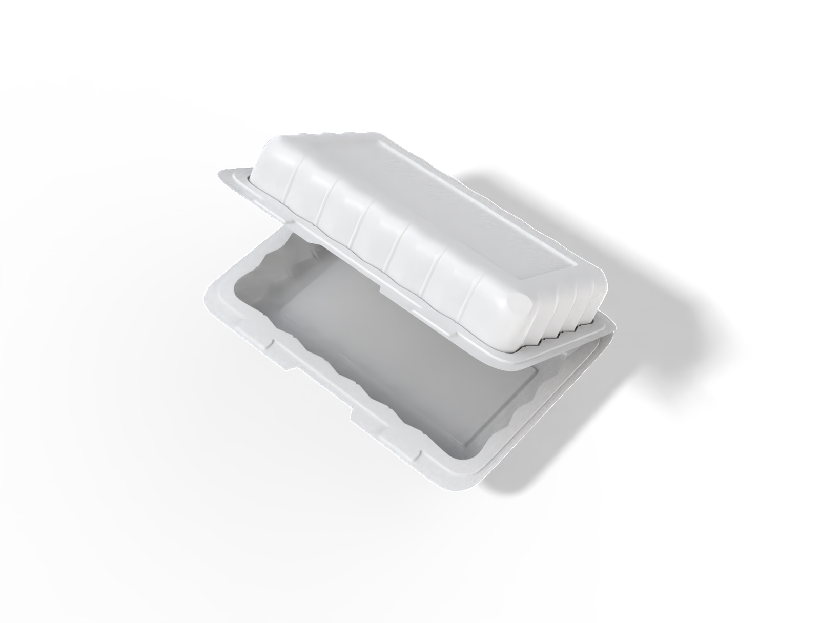 Plastic food container — Glossy plastic