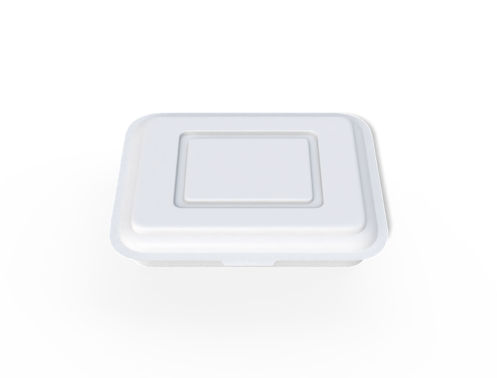 Plastic takeaway box — Glossy plastic