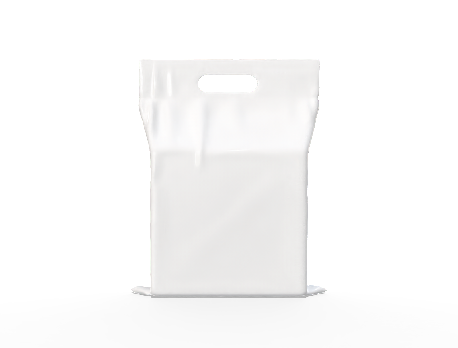 38 × 45 daily essentials stand-up pouch — Glossy plastic
