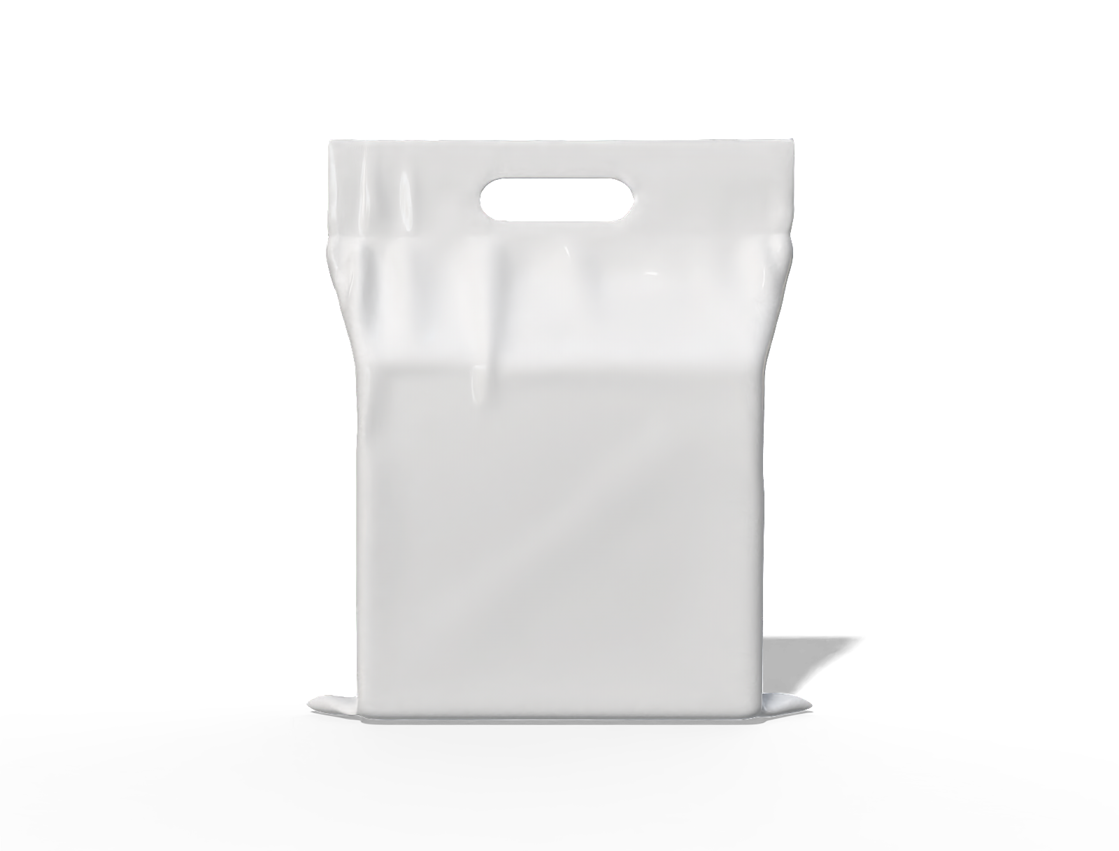 47 × 55 daily essentials stand-up pouch — Glossy plastic