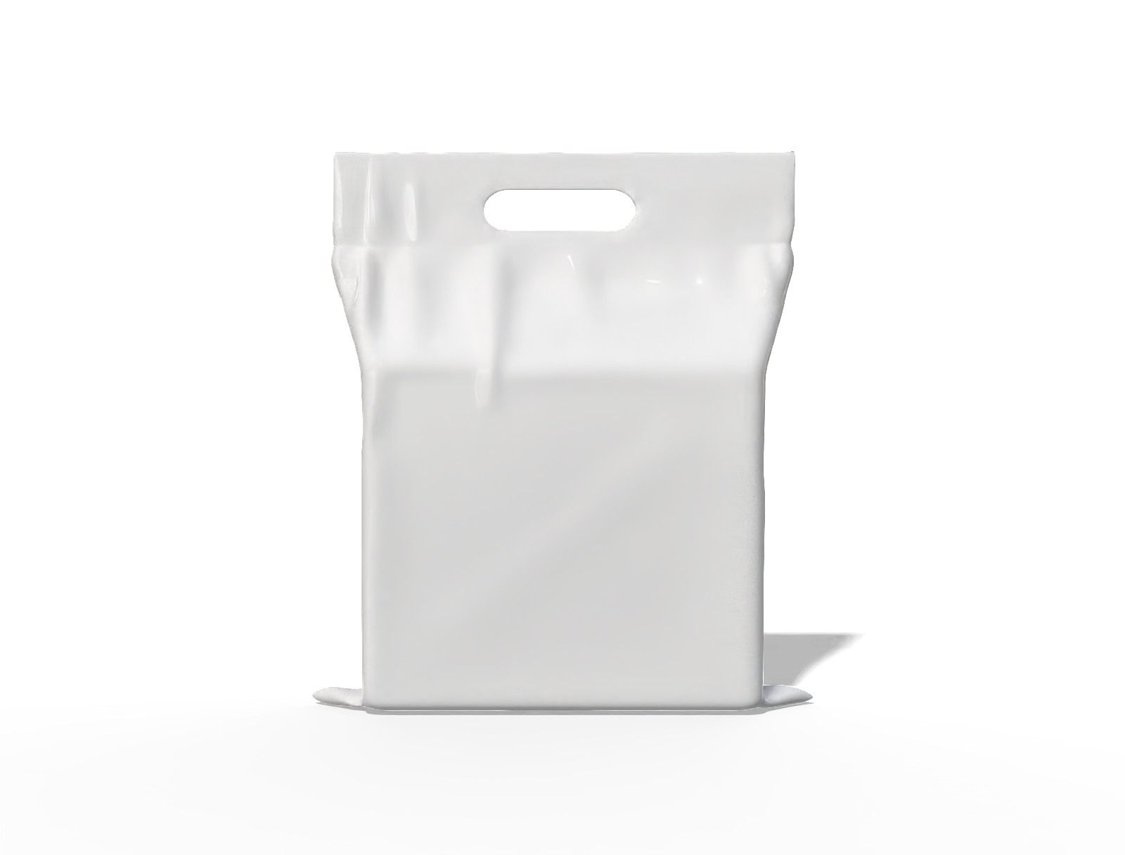52 × 60 daily essentials stand-up pouch with handle — Glossy plastic