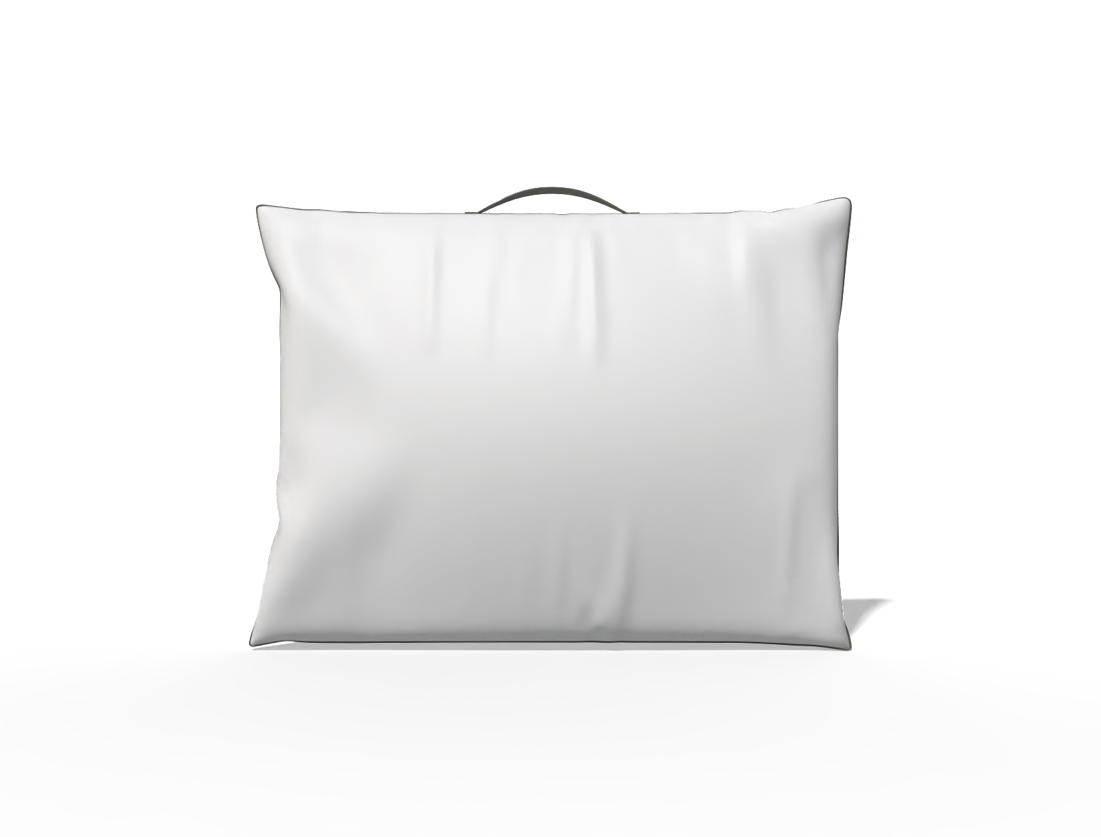 20 × 15 plastic storage pouch with handle — Glossy plastic