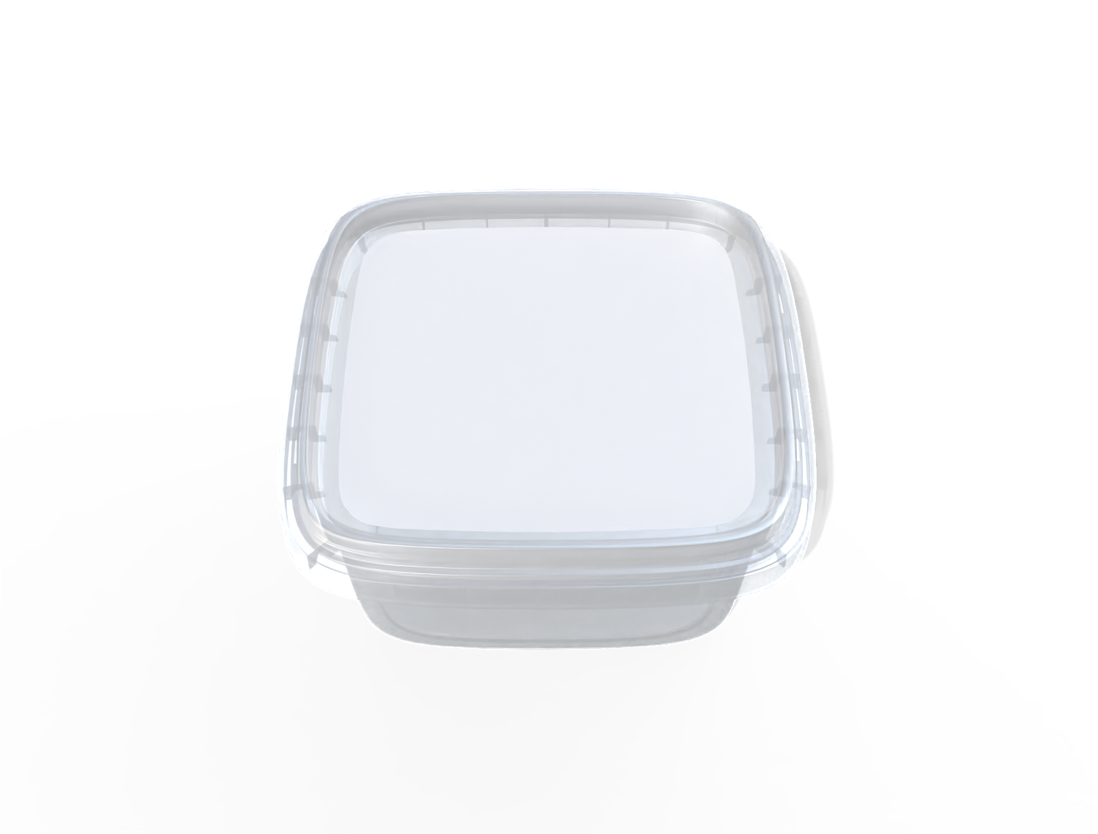 Plastic food box — Clear glossy plastic