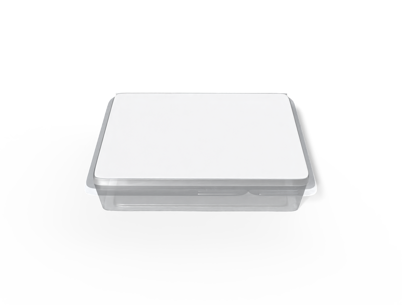 Plastic flat food box — Clear glossy plastic