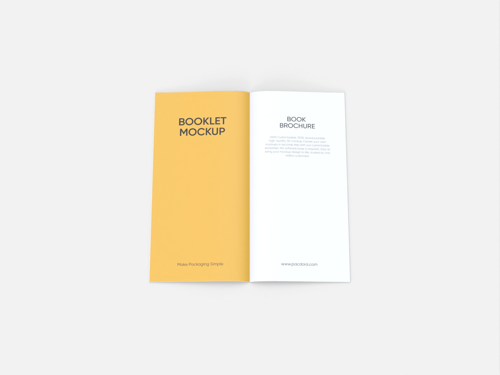 Open booklet — White paperboard