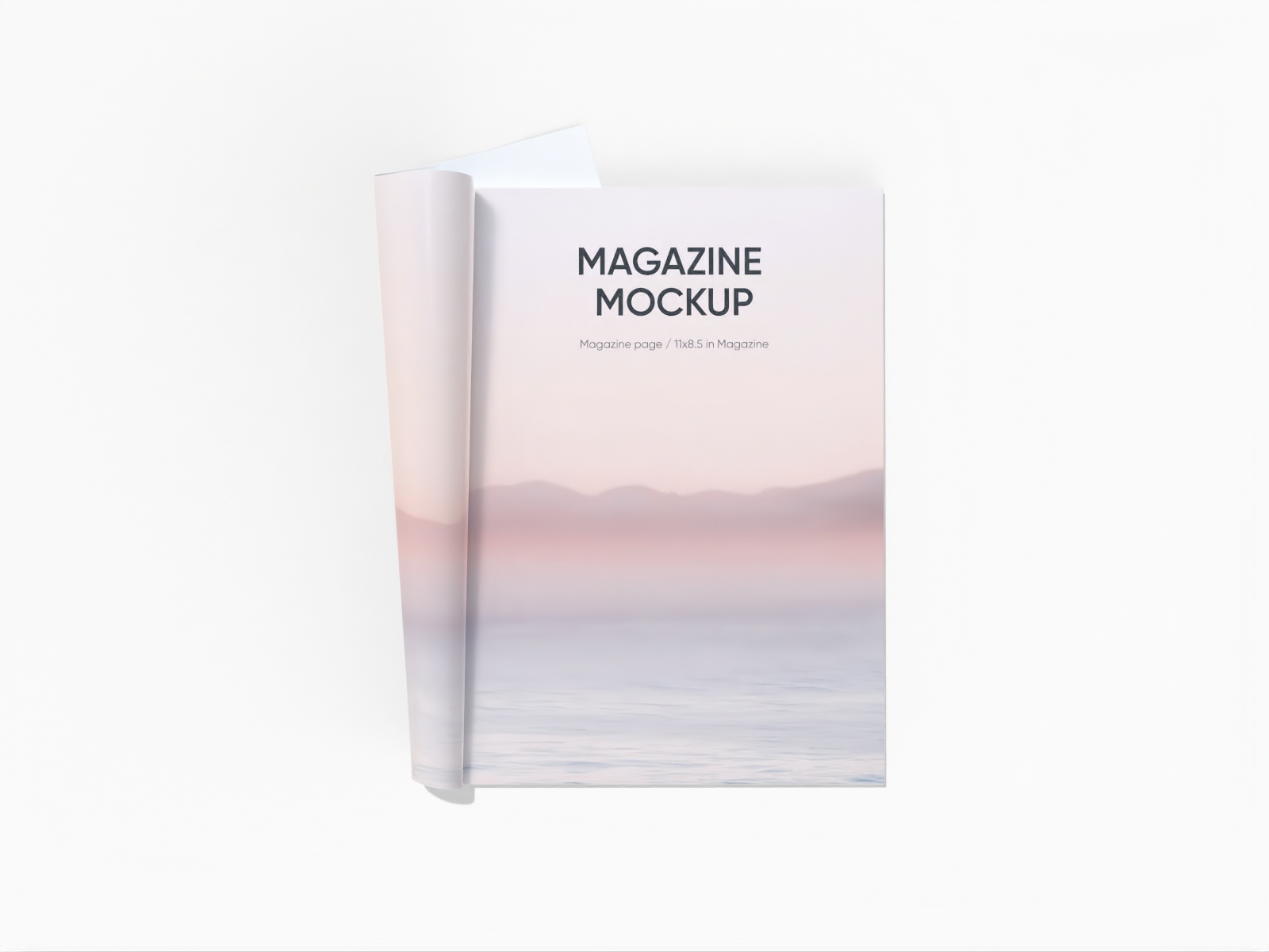 Folded magazine — White paperboard