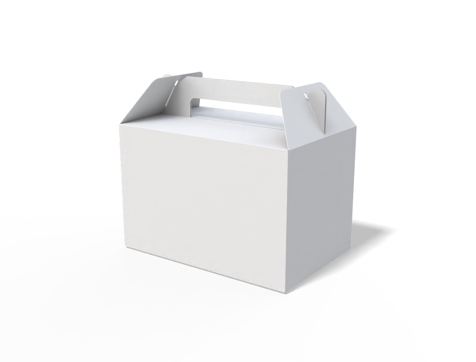 Tuck end box with handle — White paperboard