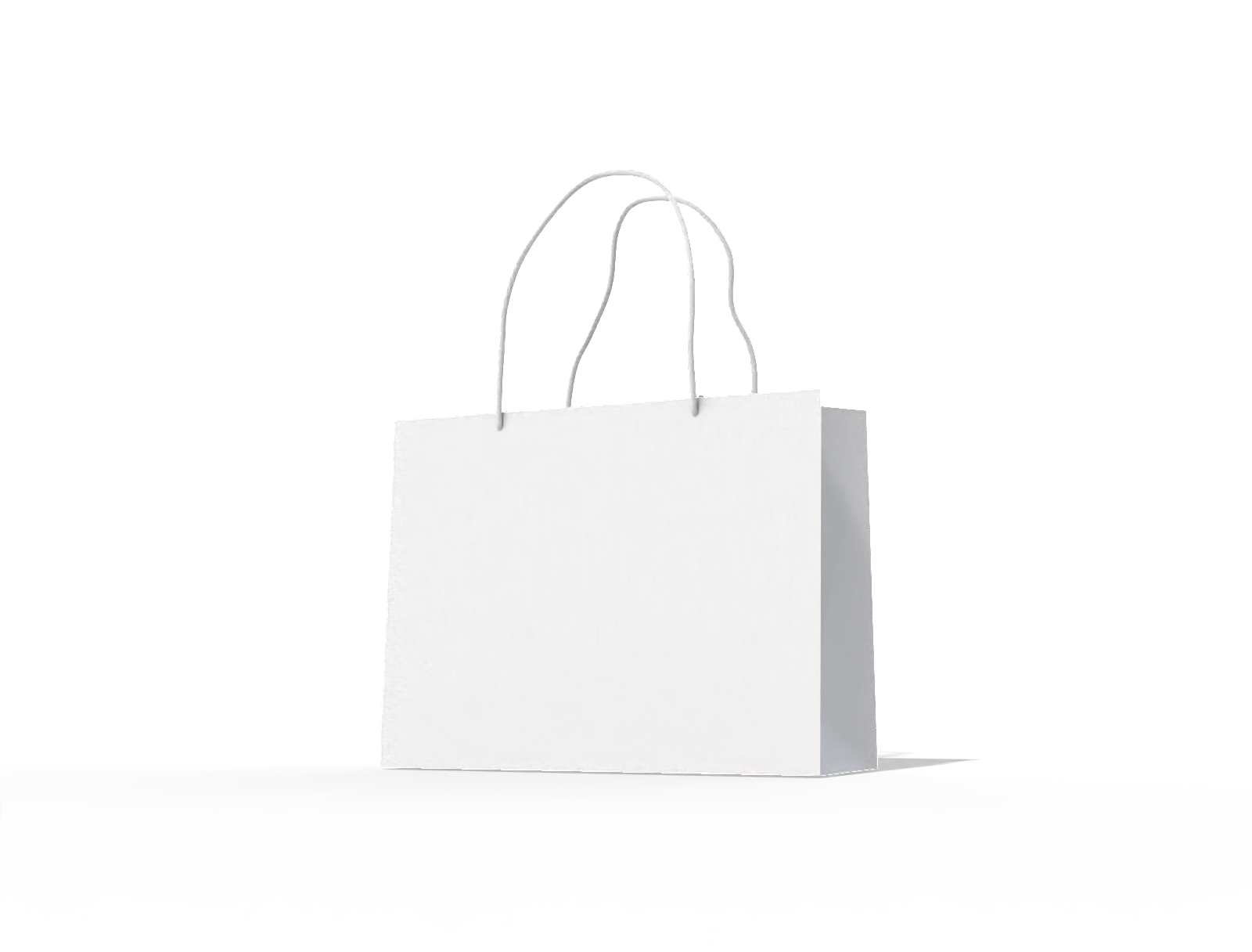 Luxury shopping bag — White paperboard