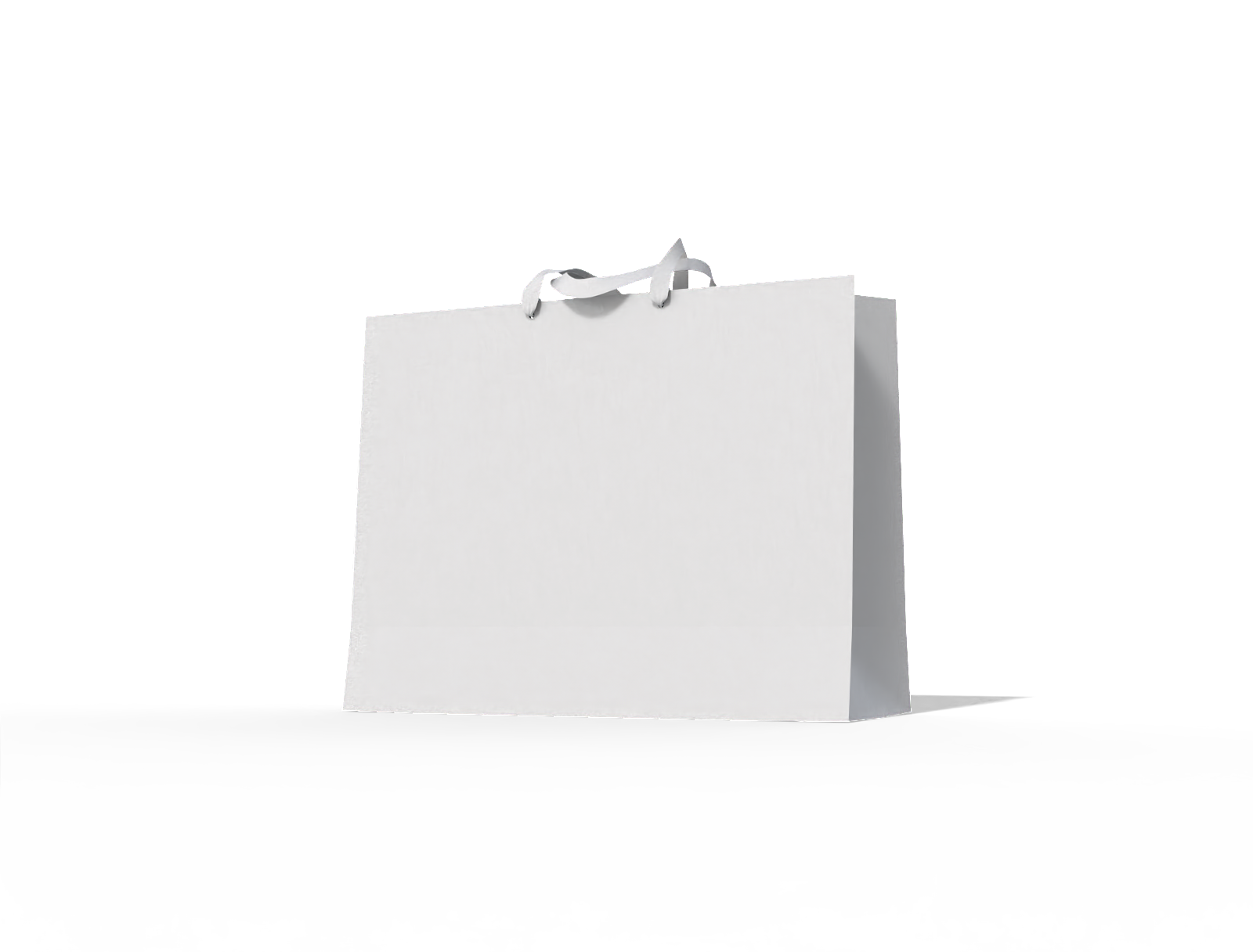 Luxury shopping bag — White paperboard
