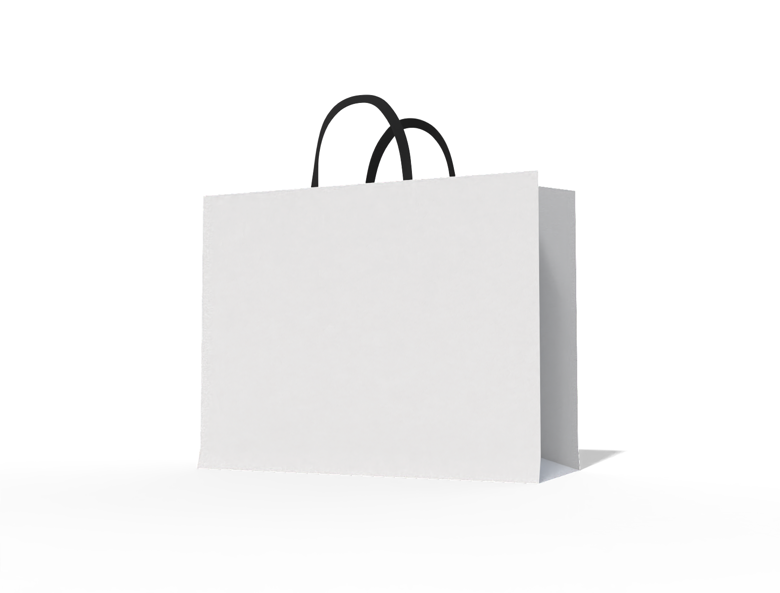 Luxury shopping bag — White paperboard