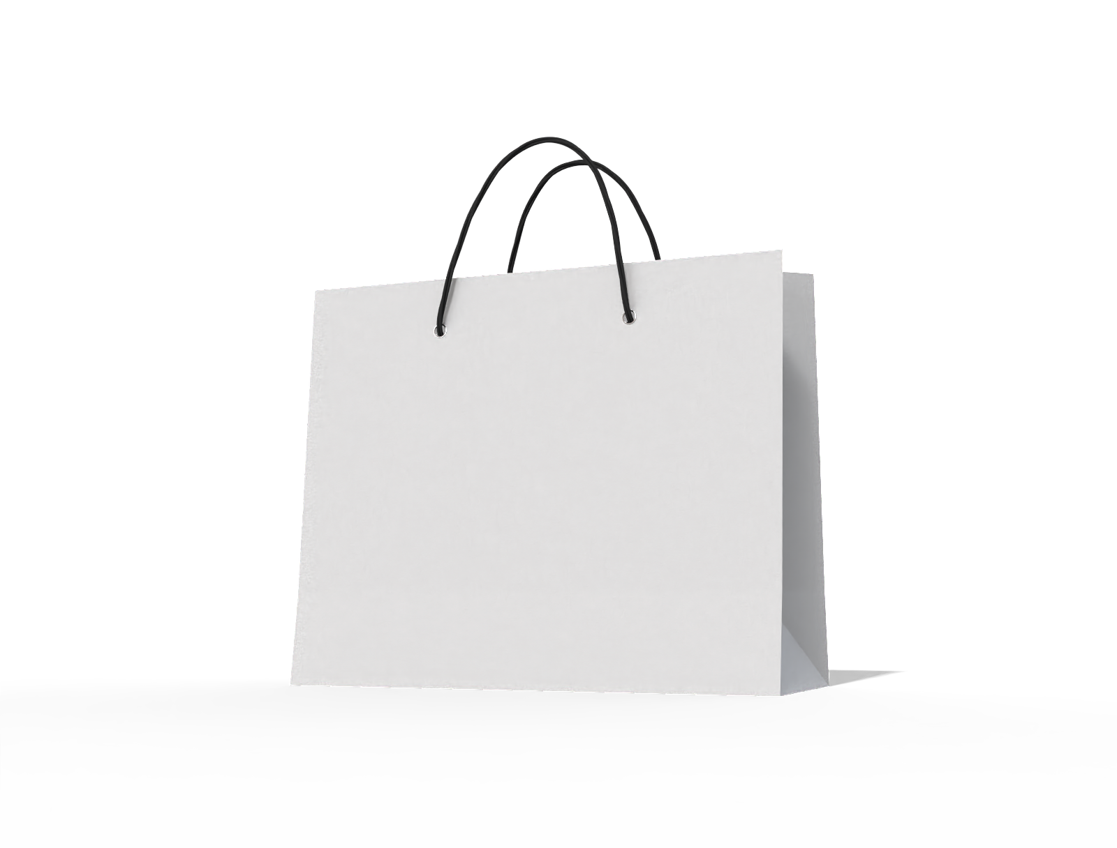 Luxury shopping bag — White paperboard
