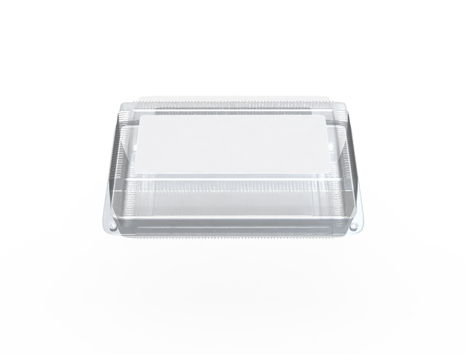 Plastic takeaway box — Clear glossy plastic