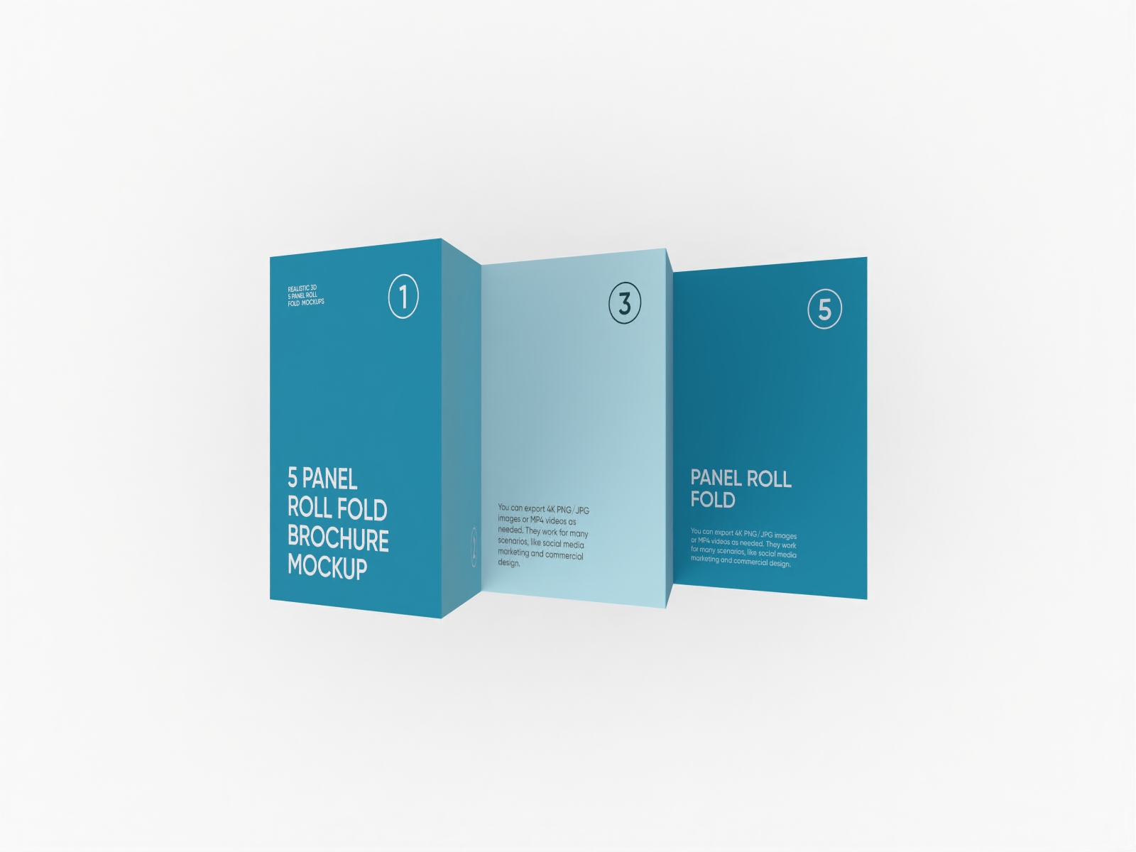 5 panel roll fold brochure — White paperboard