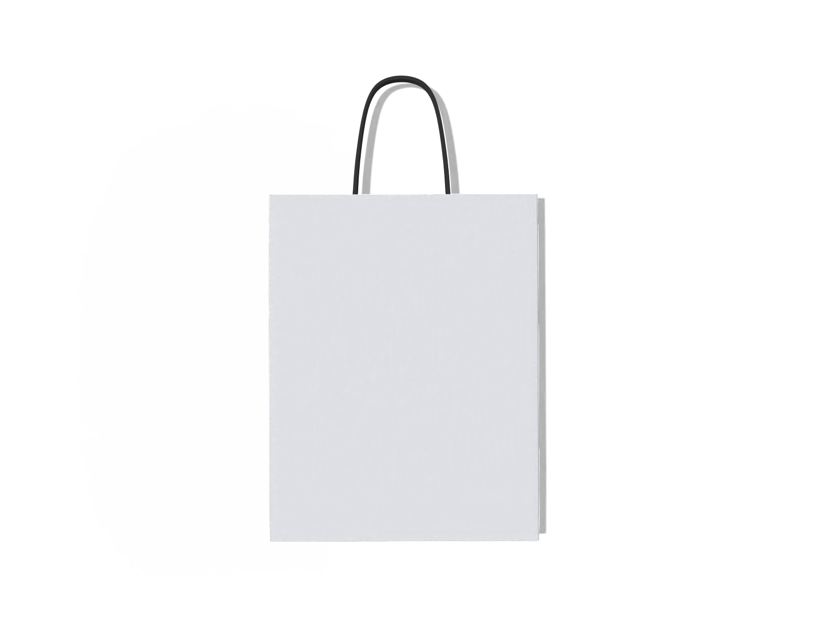 Twisted handle bag — White paperboard