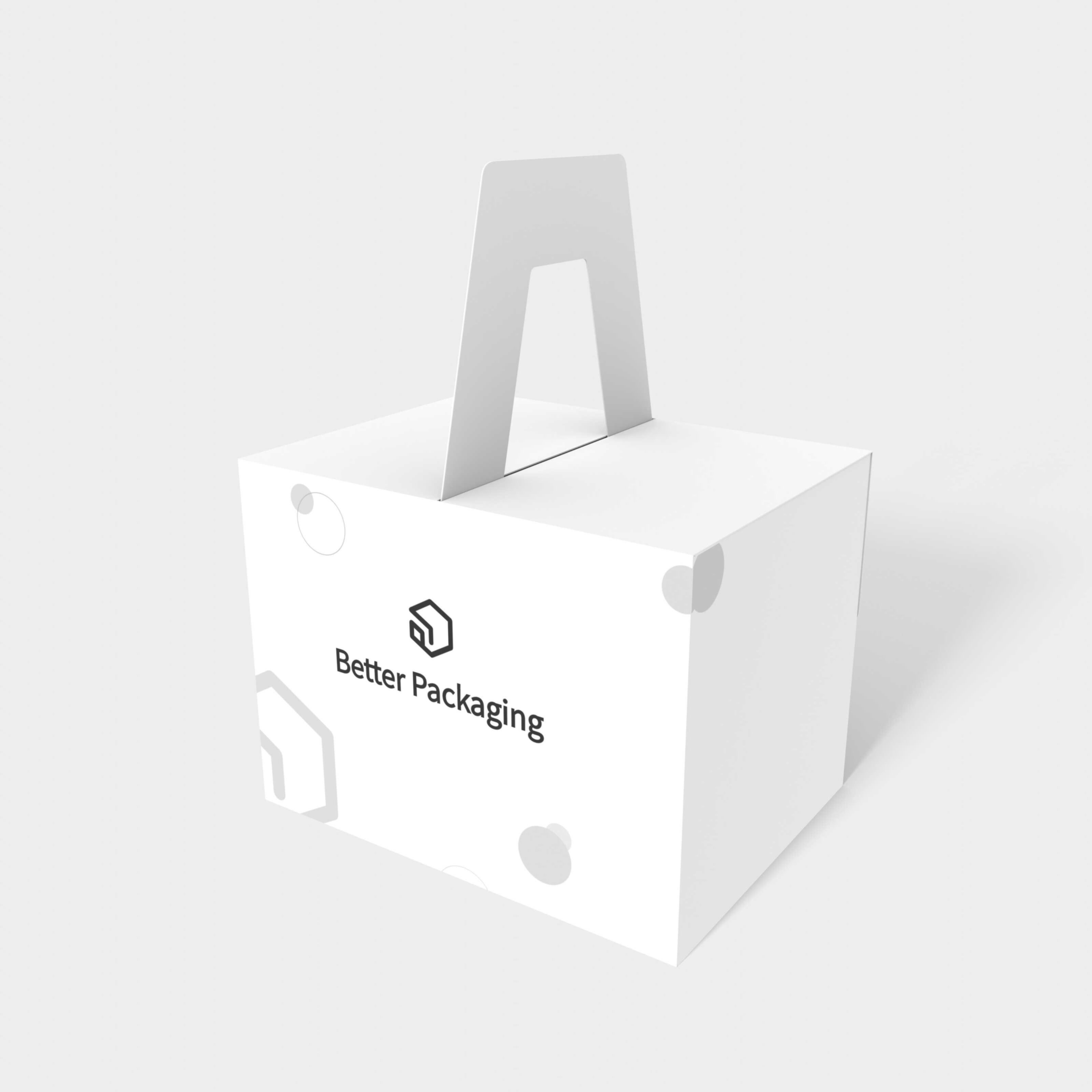 Tuck end box variations portable side mortise locks — White paperboard