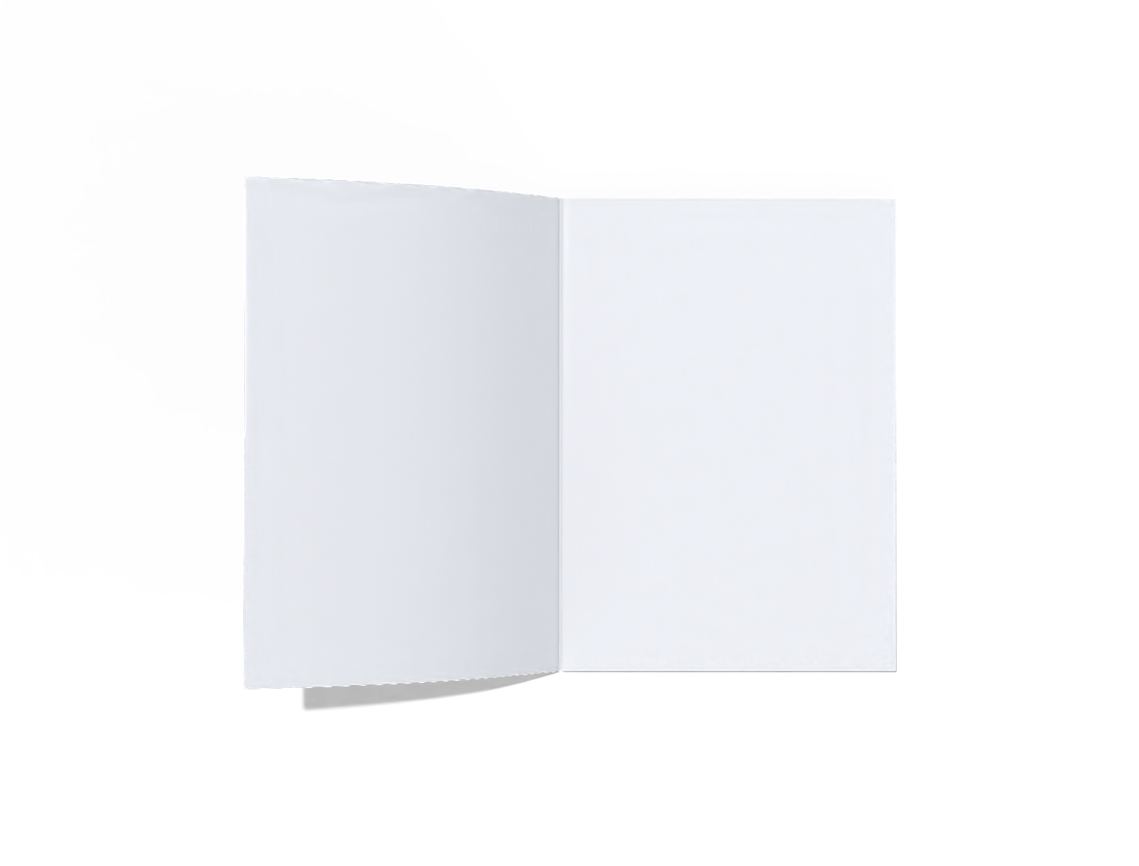 Open brochure — White paperboard