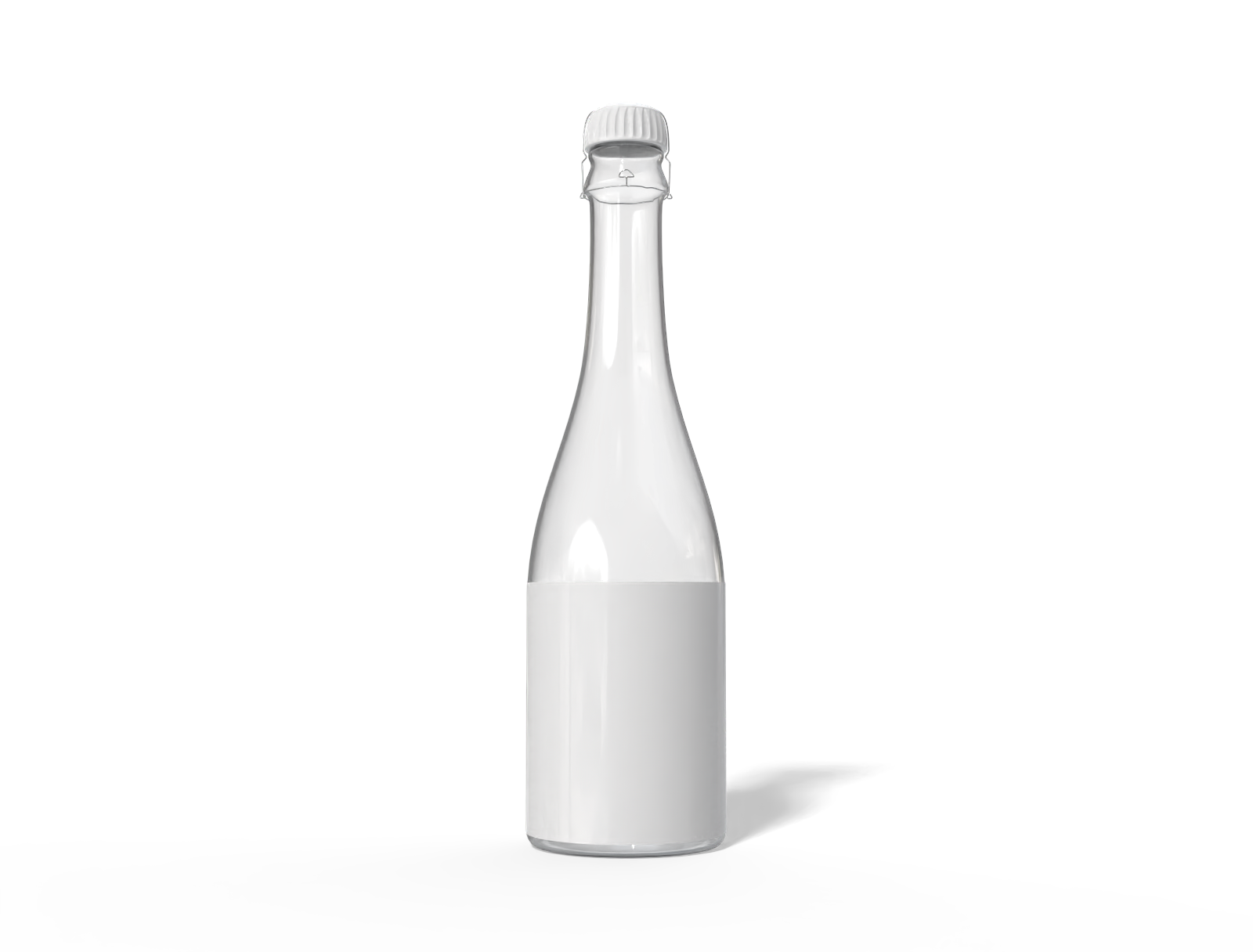 Champagne bottle — Glossy glass