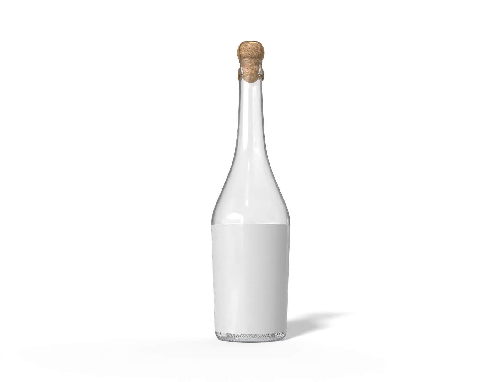 Champagne bottle — Glossy glass