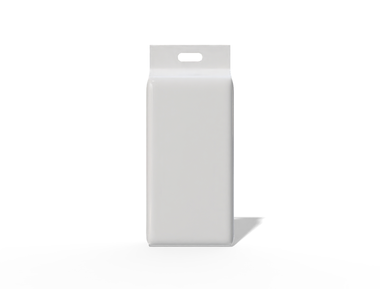 20 × 10 × 49 eight-side seal food pouch with handle — Glossy plastic