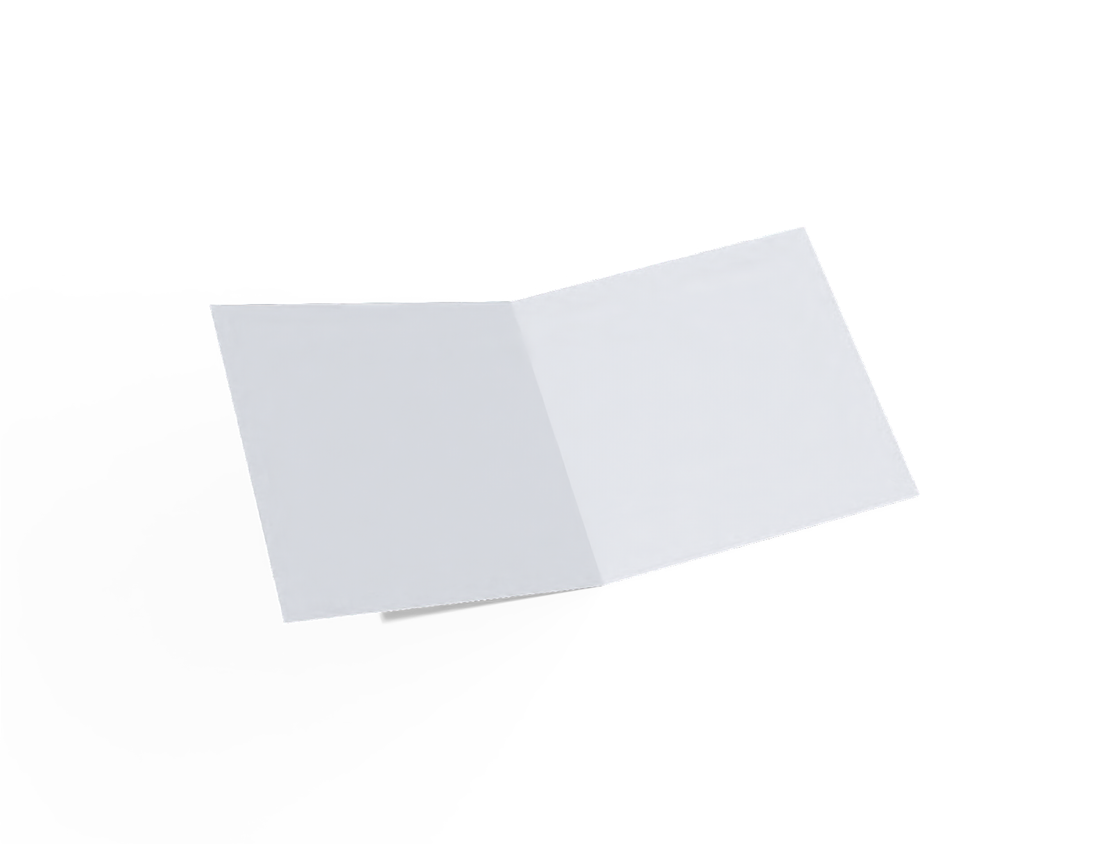 Brochure — White paperboard