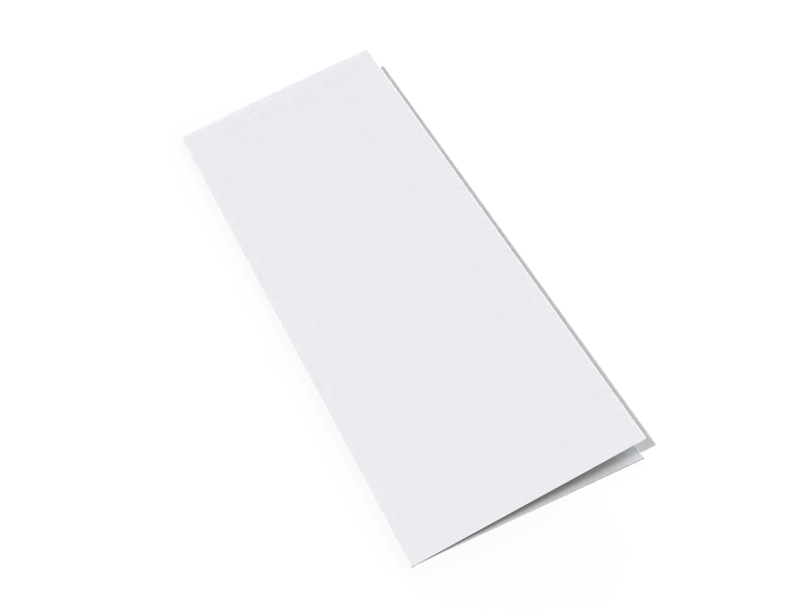 Trifold brochure — White paperboard