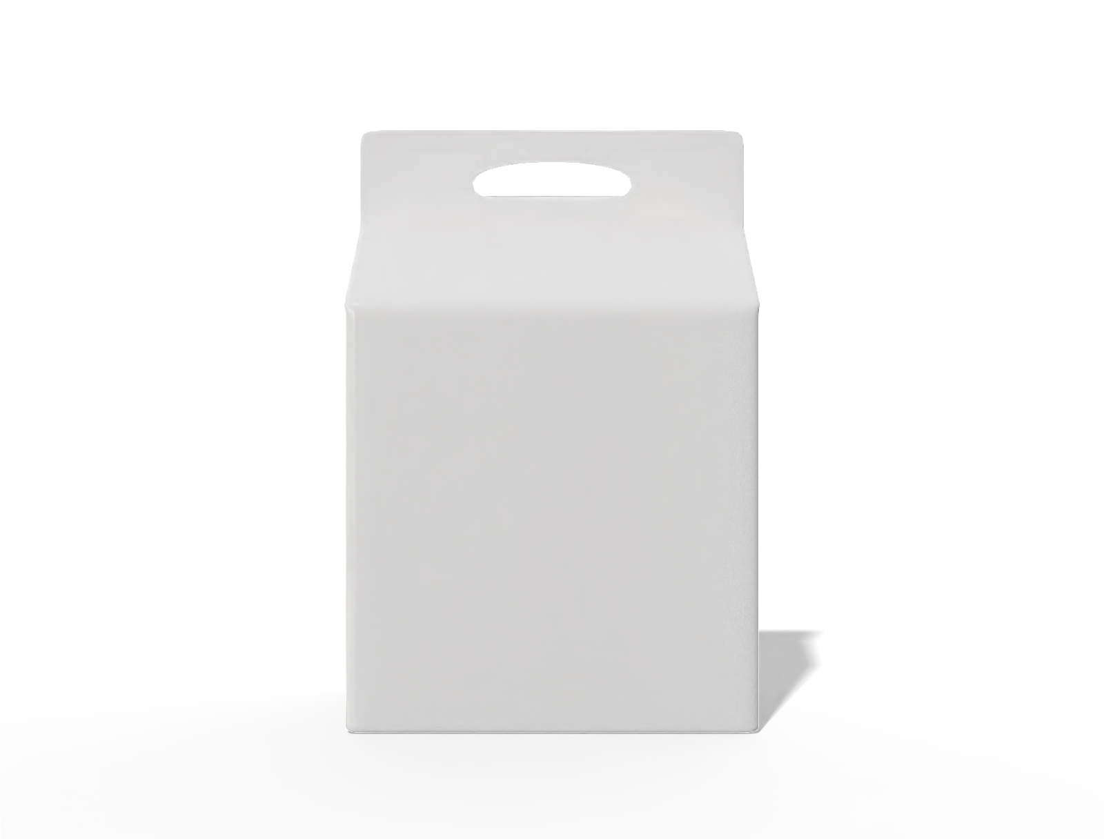 22 × 15 × 33 four-side seal rice pouch with handle — Glossy plastic