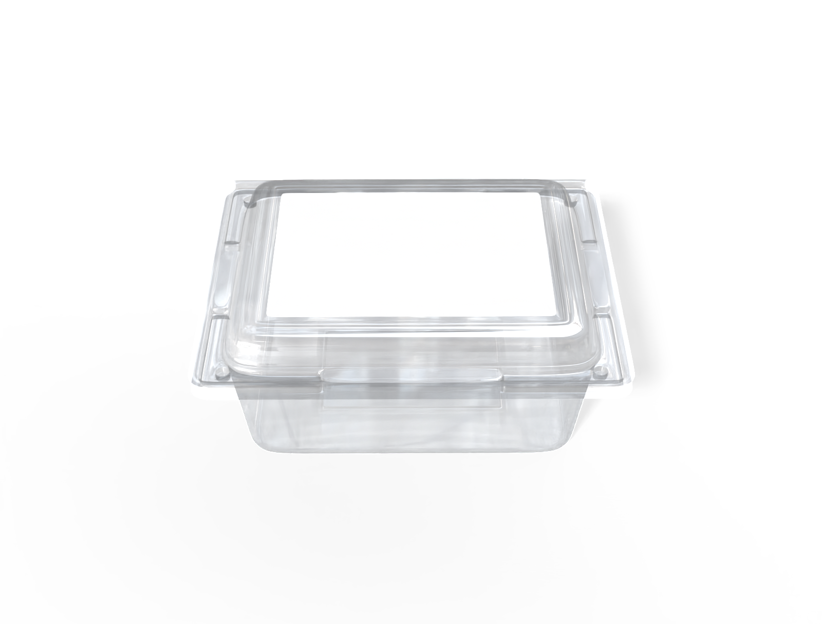 Plastic food container — Clear glossy plastic