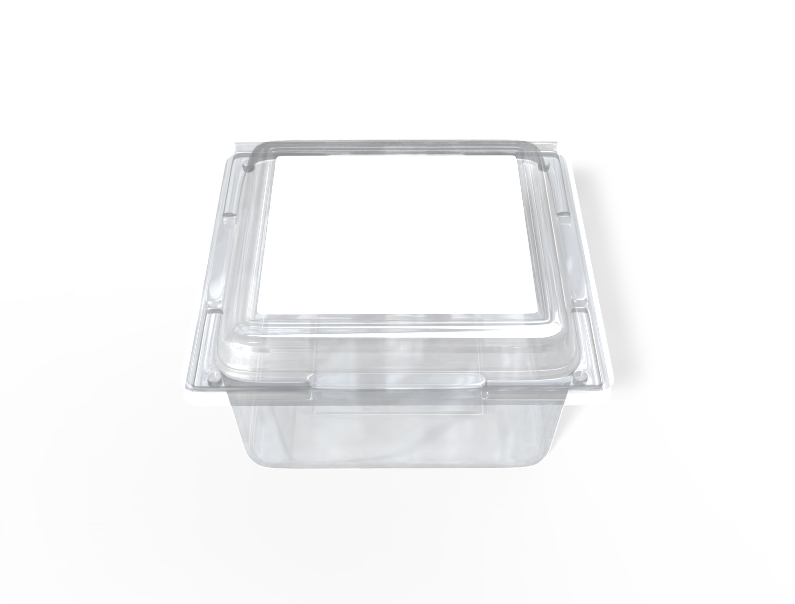 Plastic food box — Clear glossy plastic