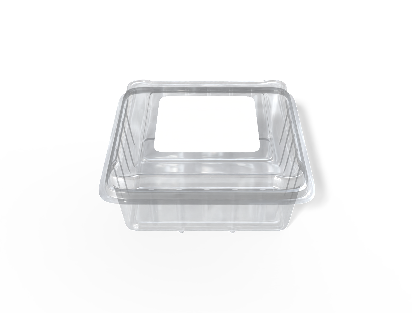 Plastic food container — Clear glossy plastic
