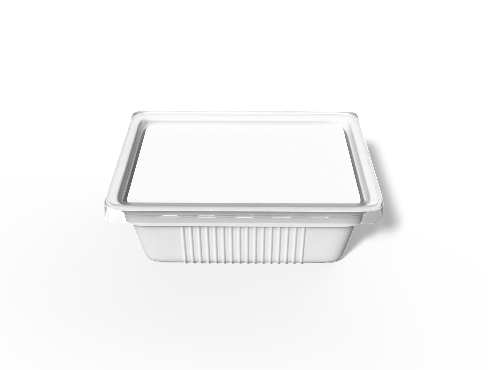 Plastic food container — Glossy plastic