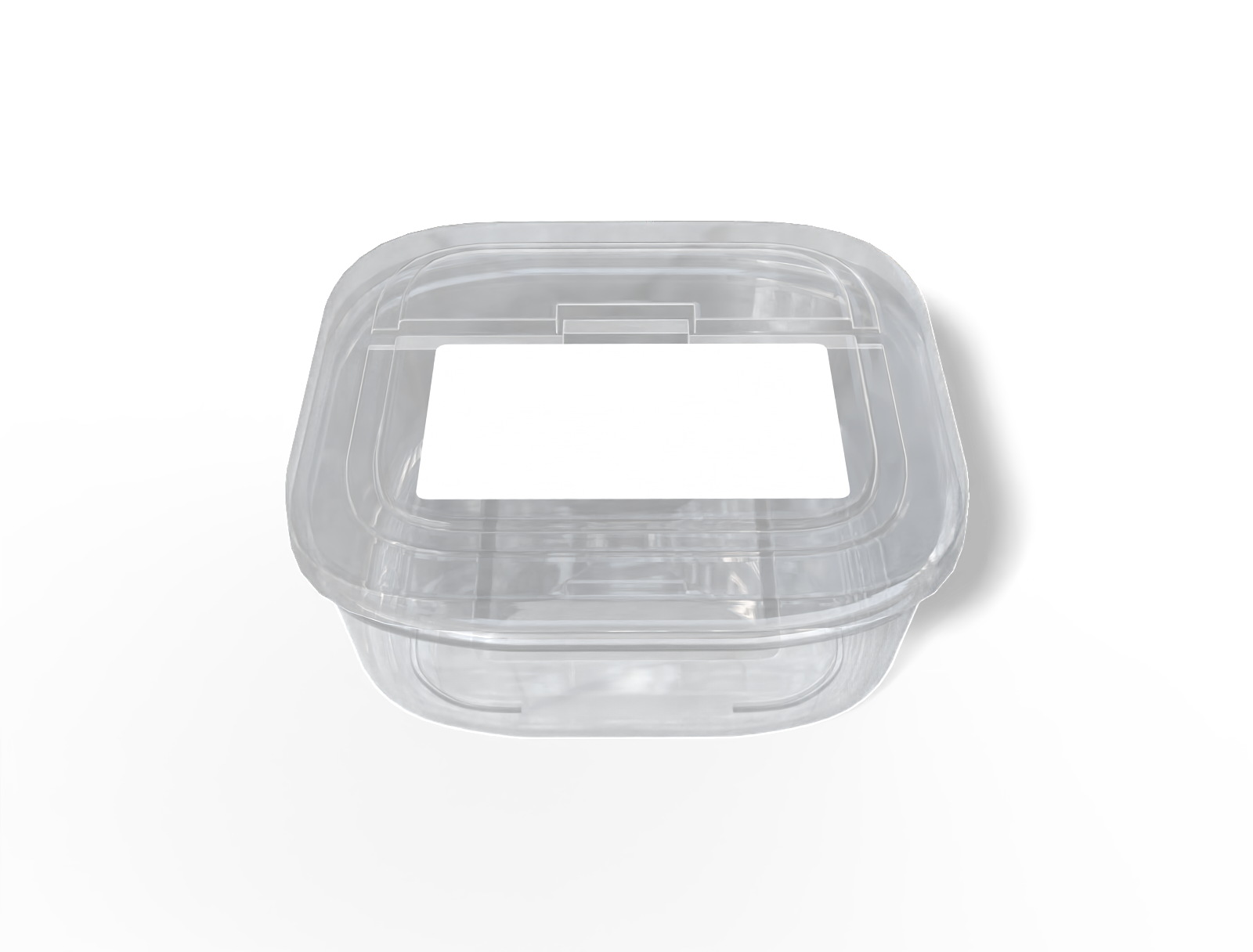 Plastic takeaway box — Clear glossy plastic