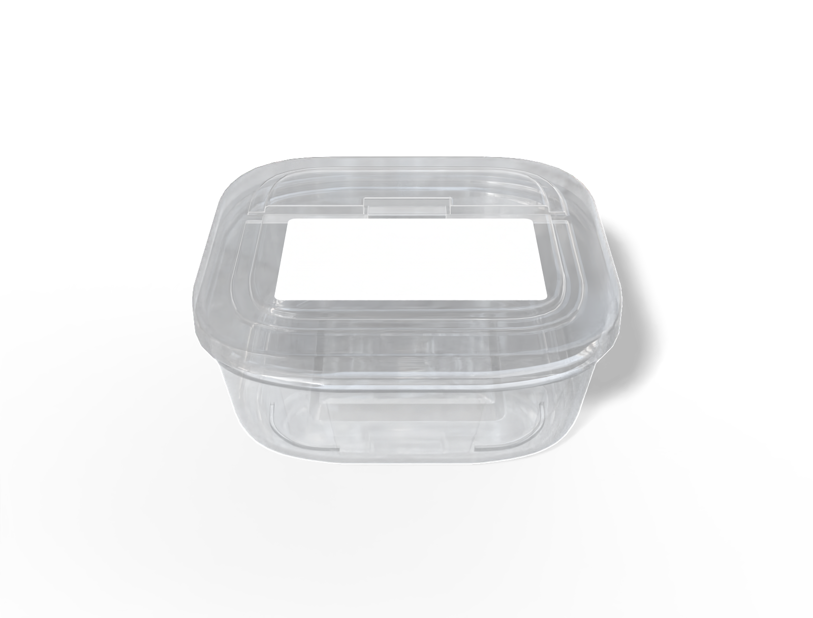 Plastic food container — Clear glossy plastic
