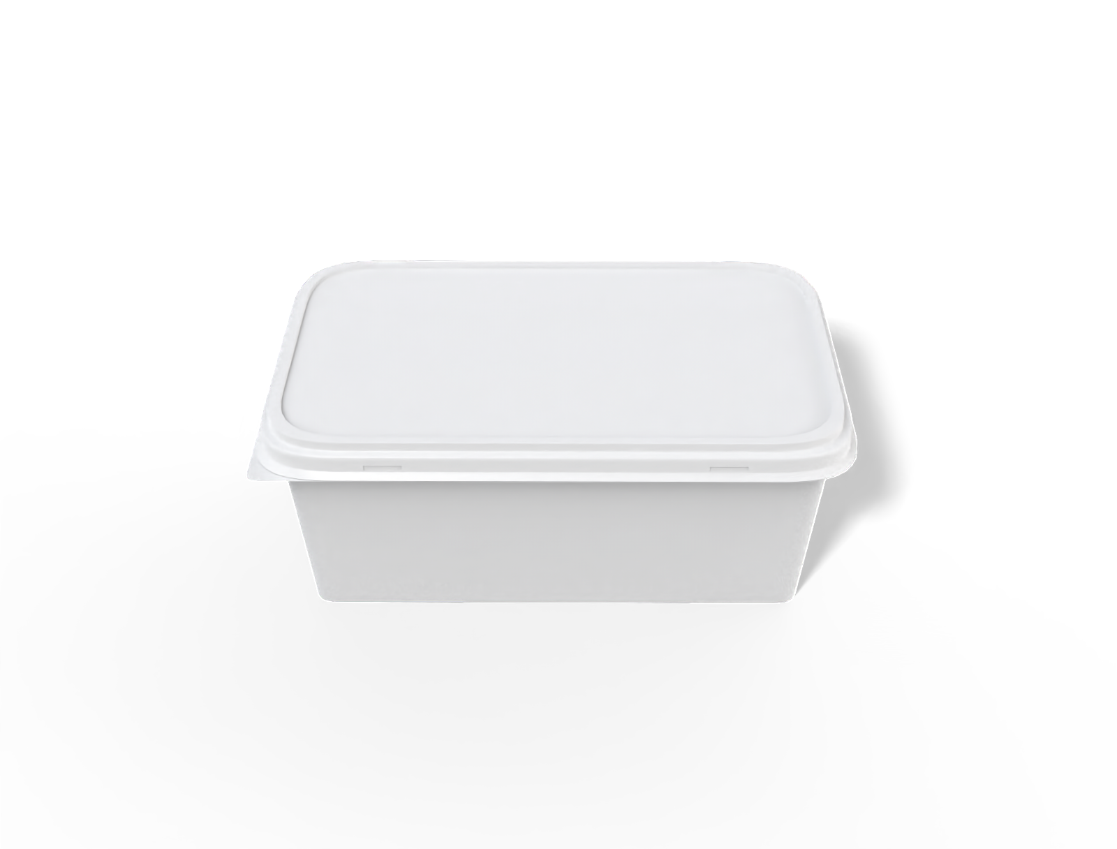 Plastic food container — Glossy plastic