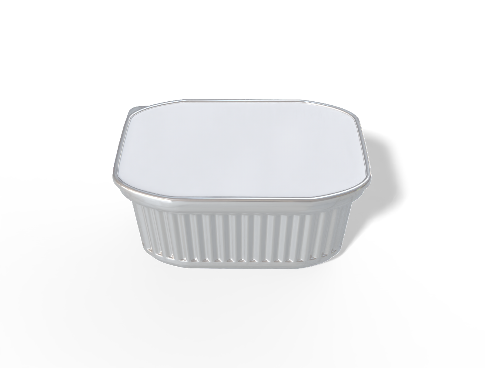 Plastic food container — Glossy plastic